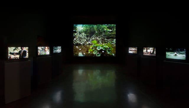 Yang Fudong: Estranged Paradise, Works 1993–2013 INstalltion at the Berkeley Art Museum,2013