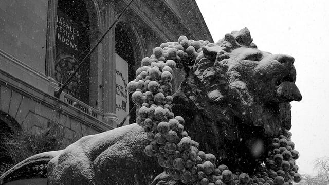 One of Edward Kemeys's bronze lions at the entrance to the Art Institute of Chicago (photo by Christian Newton, via Flickr)