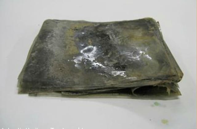 The negatives were found frozen in ice