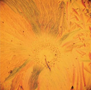 Mira Calix, "The Sun is the Queen of Torches" (via Facebook)