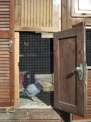 Duke Riley: See You at the Finish Line