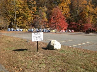 Work by Pat Falco (click to enlarge)