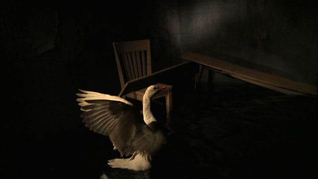 Dana Levy, "Aftermath" (2009), video, 6 min, collaboration with sculptor Sasha Serber, original soundtrack by Joni Rokotnitz