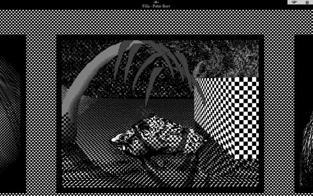 Screenshot of Peter Burr’s “Fills" (via plan9channel12.com)