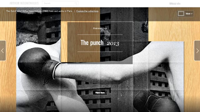 Arthur Nieuwenhuijs' work on Google Open Gallery (all screenshots by the author)