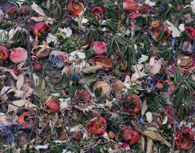 Tanya Marcuse, "Fallen Nº 439" (2013), pigment print 37 3/4" x 48" (all images courtesy Julie Saul Gallery)