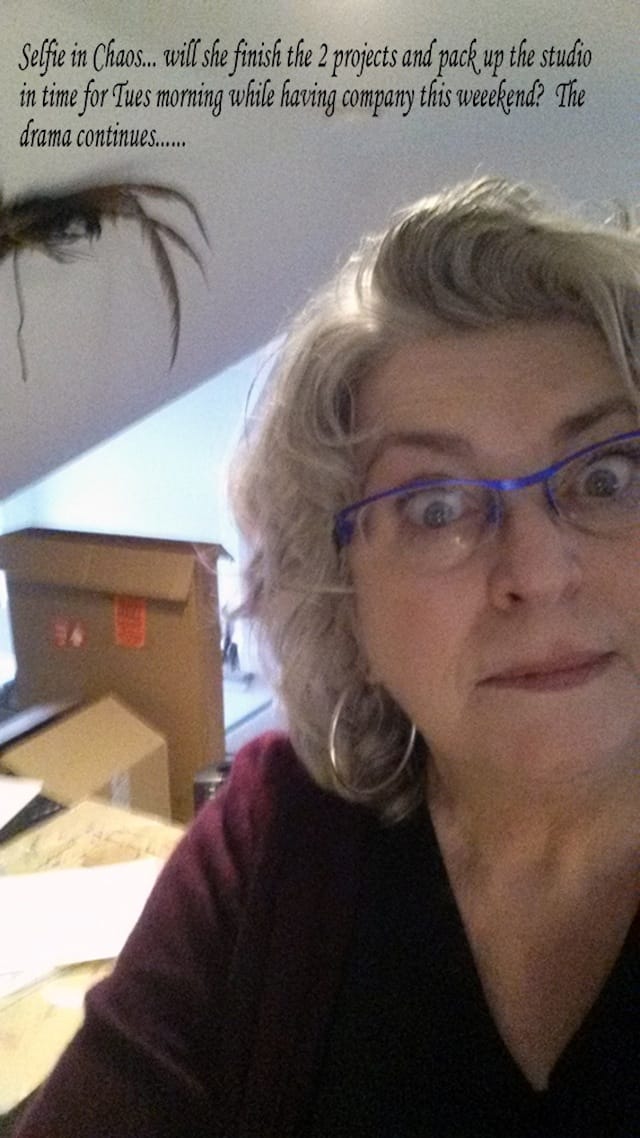 Ann Tracy, "Selfie in Chaos" (2014)