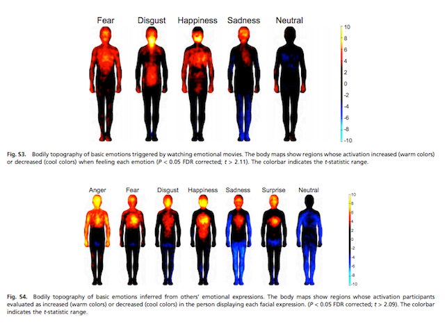 Bodily topography triggered by emotional movies (above) and expressions (below) (via pnas.org)