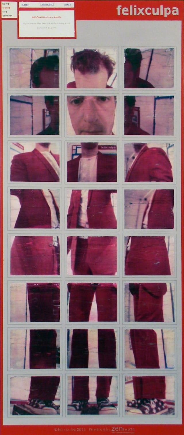 Felix Culpa, "@MrDavidHockney Selfie" (2014)