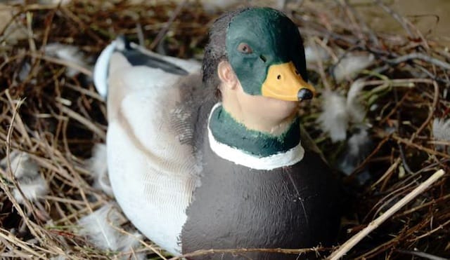 "Ghost Nature" poster via the exhibition's Facebook event.