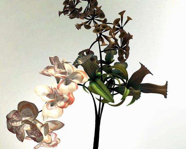 "Darwin" flower by Daniel Brown