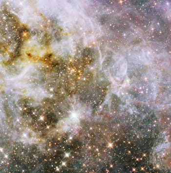 Detail of the Tarantual Nebula in infrared light (via NASA, ESA, and E. Sabbi (STScI) )