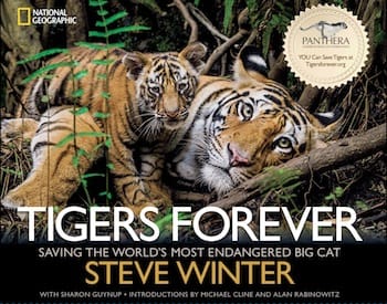 "Tigers Forever" by Steve Winter