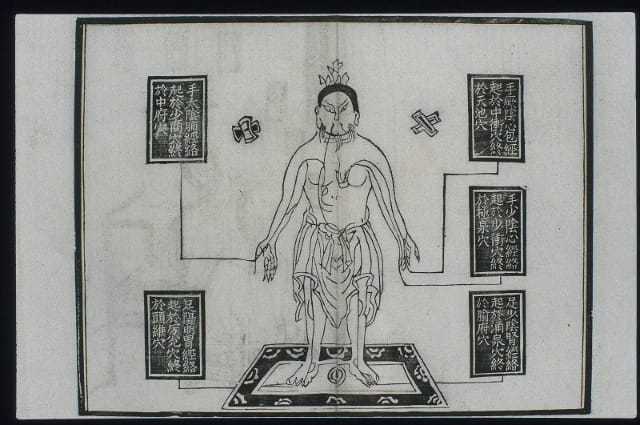 Wang Weiyi, a woodblock illustration of traditional Chinese medicine from 1909 showing a middle-aged man with different anatomical channels