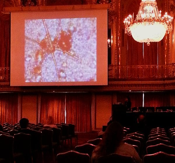 Claire Pentecost discussing soil at CAA