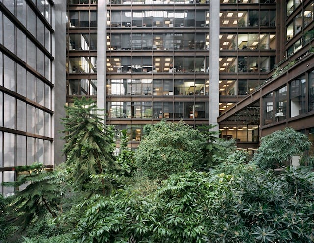 Ford Foundation Atrium New York, NY Photograph © David Leventi, 2013, courtesy The Cultural Landscape Foundation.