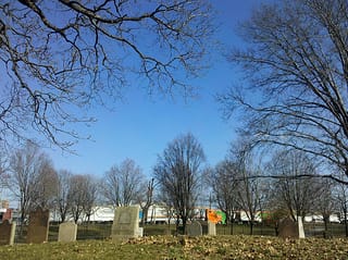 The preserved cemetery in Drake Park (photograph by Matt Green, via Flickr)