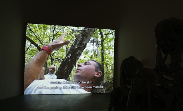 Paweł Althamer and Artur Zmijewski, "LSD" (2003) 