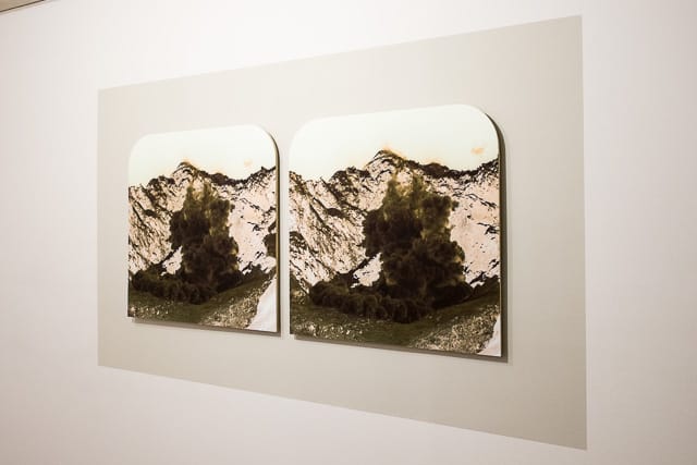 MGROTH_20140207_001-2