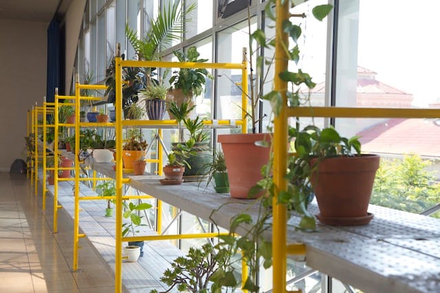 Plant Vacation project (2011) at the Hammer Museum. 