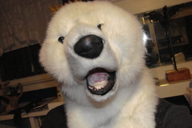 Bernadette's polar bear selfie 