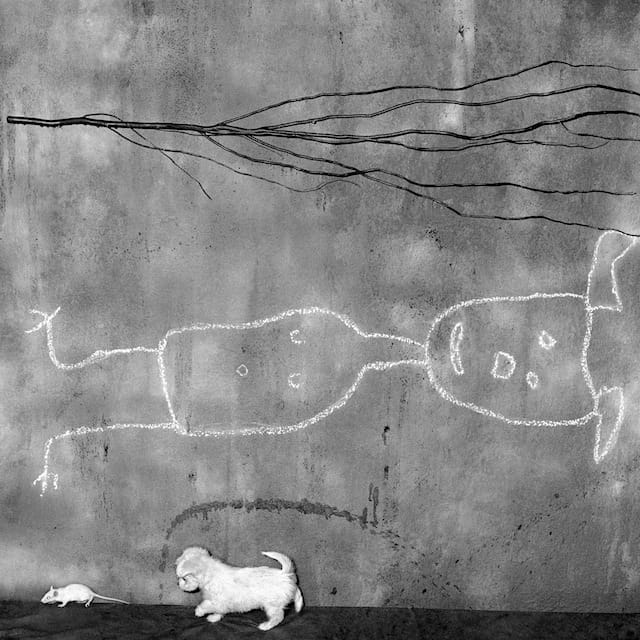Roger Ballen, "Place of the Upside Down" (2004)