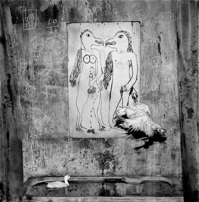 Roger Ballen, "Rendevous" (2012)