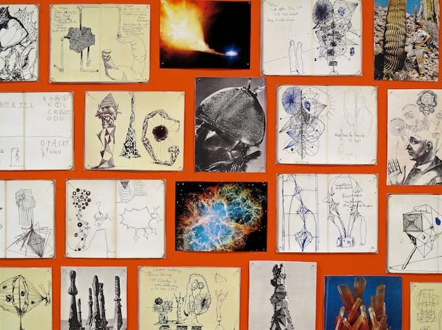 Segre, Detail from _Spaghetti Love_