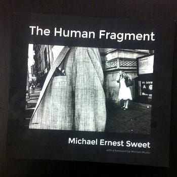 "The Human Fragment" by Michael Ernest Sweet (photograph by the author)