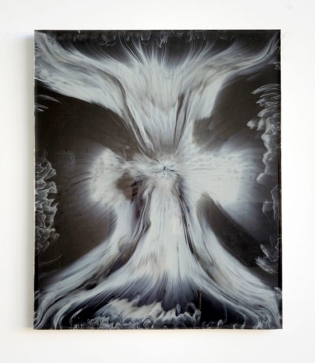 14.125 by 11.625 ( black/white)  cast flexible urethane resin, mylar and mixed media  2010