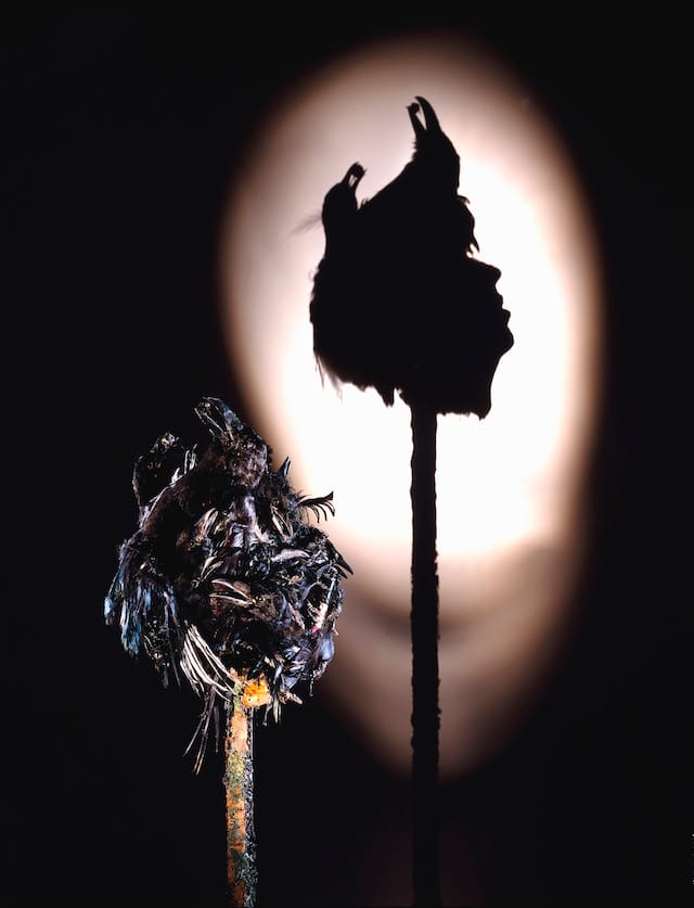 Isabella Blow by; by Tim Noble; Sue Webster taxidermy, wood, fake moss, light projector and installation template, 2002 Credit line: Photograph by Andy Keate, © National Portrait Gallery, London; sculpture © Tim Noble and Sue Webster