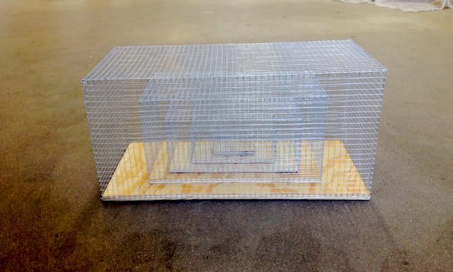 Dan Finsel, "affective memory cage" (2014)