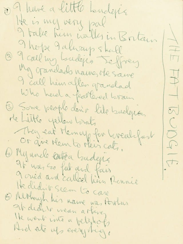 9156 'The Fat Budgie'