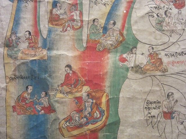 Detail of "Tree of Diagnosis" (17th century), pigments on cloth & brocade, Tibet