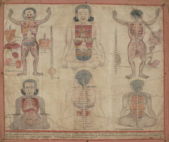 Localization of Viscera in the Torso Tibet or Mongolia; 18th or 19th century Pigments on cloth and brocade Pritzker Collection