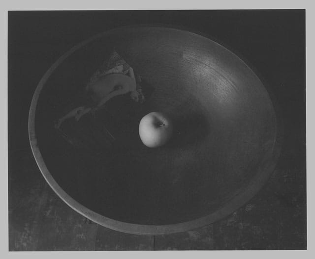 Jed Devine, "Untitled (Ingres)," platinum palladium print on Japanese rice paper, 8" x 10" (click to enlarge)