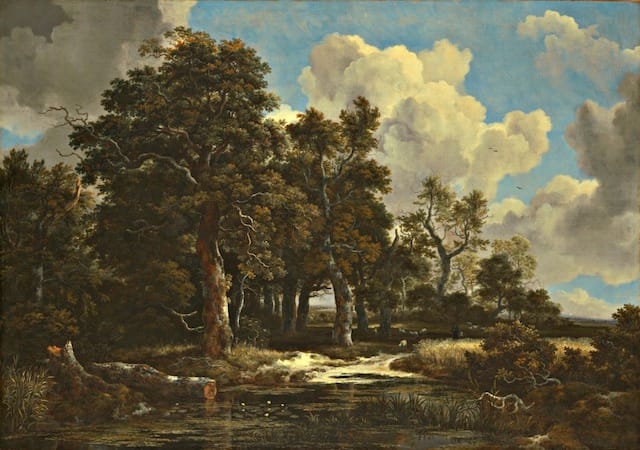 Jacob van Ruisdael, "Edge of a Forest with a Grainfield" (1656), oil on canvas, 41 x 57 1/2 in. (courtesy Kimbell Art Museum, Fort Worth)