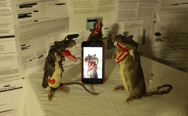 Animation set selfie