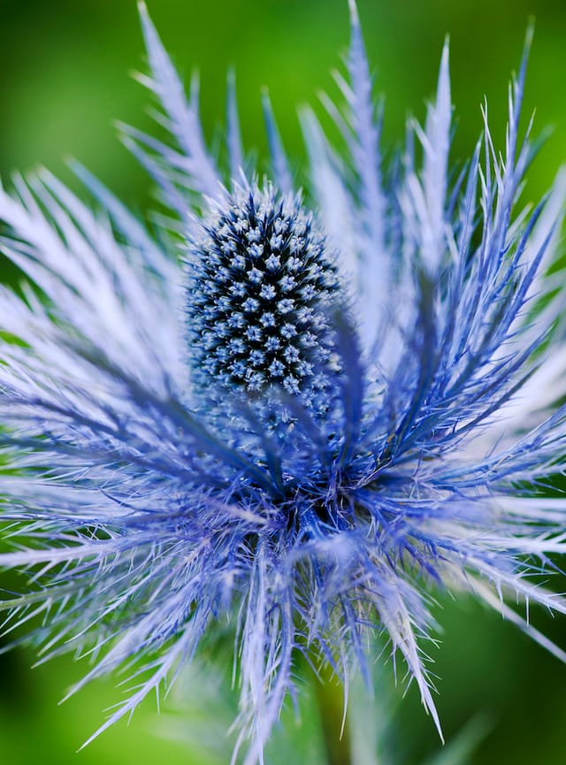 A photograph by Tim Gainey, available on Pixels.com 