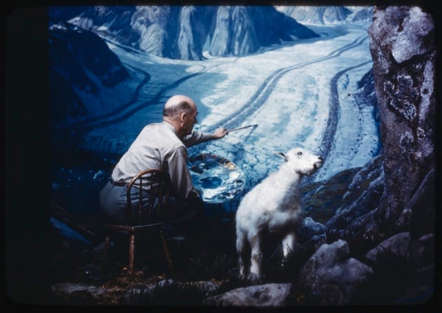Artist Belmore Browne paints background for Mountain Goat diorama, Hall of North American Mammals