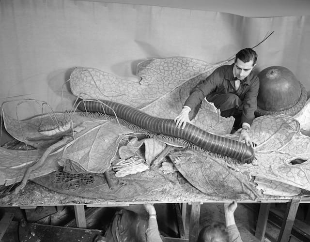 Rota, Alex J., “Installing models for the Forest Floor exhibit, 1958,”
