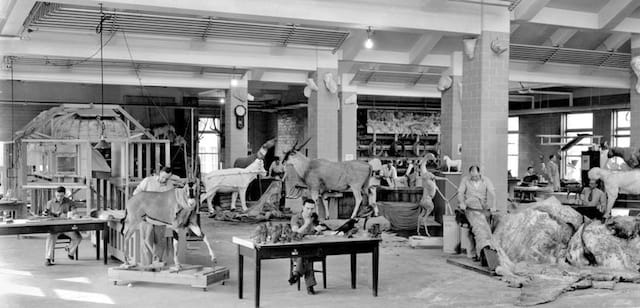 Bierwert, Thane L. and Rice, H. S., “Fifth floor preparation studios, 1934,”