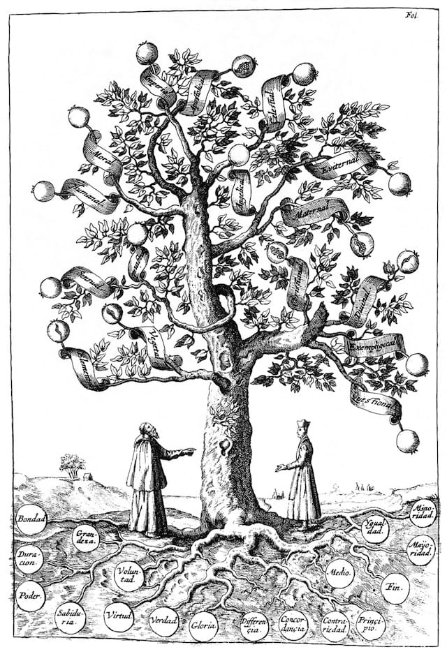 "Tree of Science" from Ramon Llull's "Arbol de la ciencia de el iluminado maestro Raymundo Lulio" (1663)