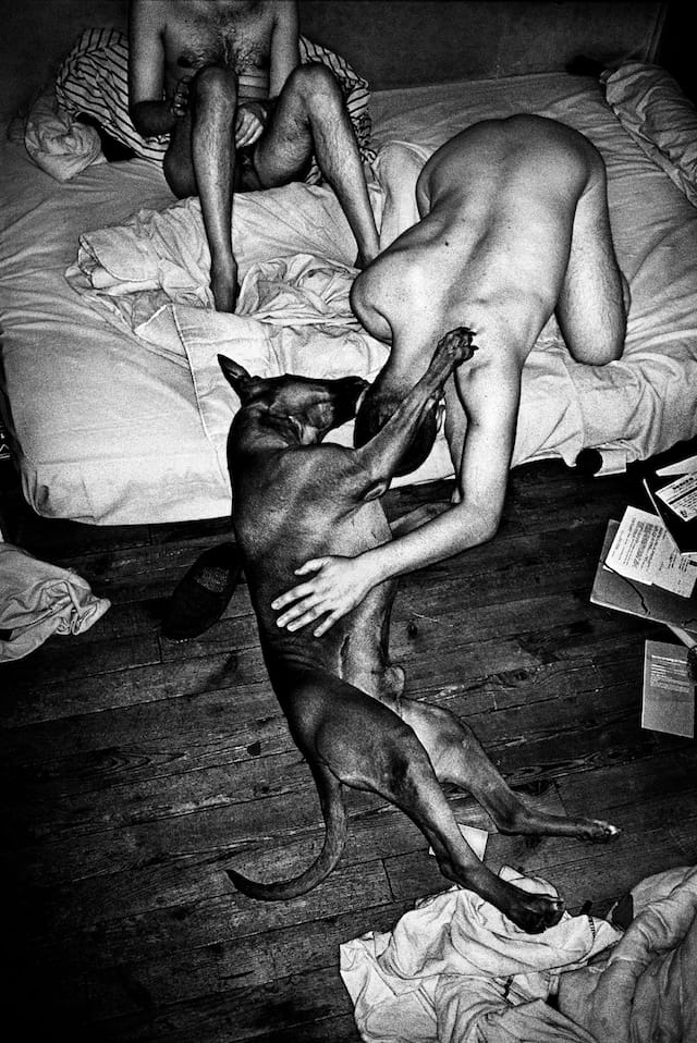 Anders Petersen