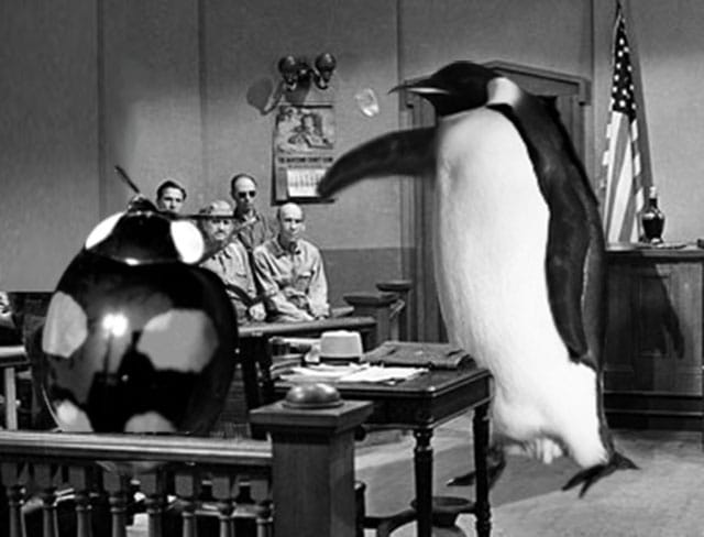 A "legal-anxiety inspired illustration" by Miriam Elia (via miriamelia.co.uk)