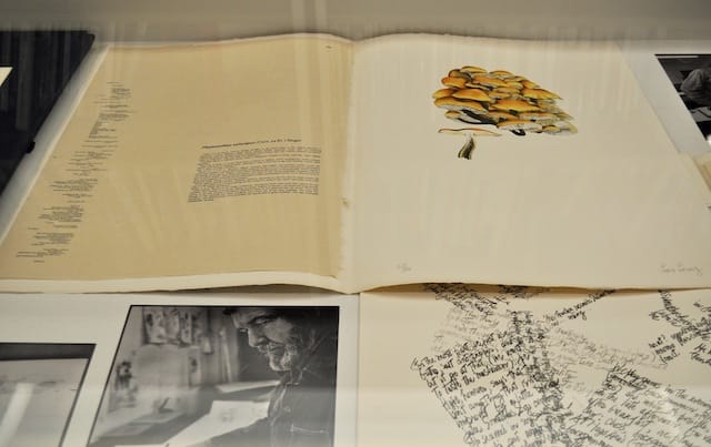 Installation view (Courtesy of The Horticultural Society of New York)