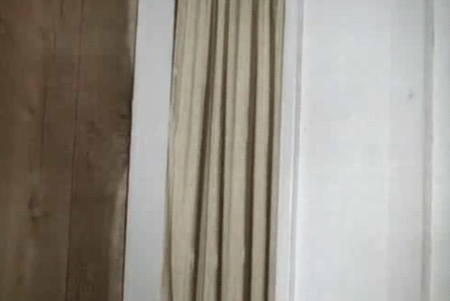 Kay Parker in Taboo (1980) (GIF by Hrag Vartanian/Hyperallergic)