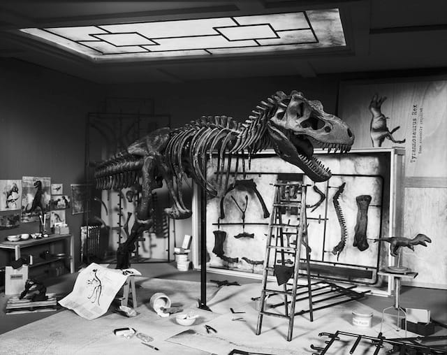 Lori Nix, "T-Rex" (2010)