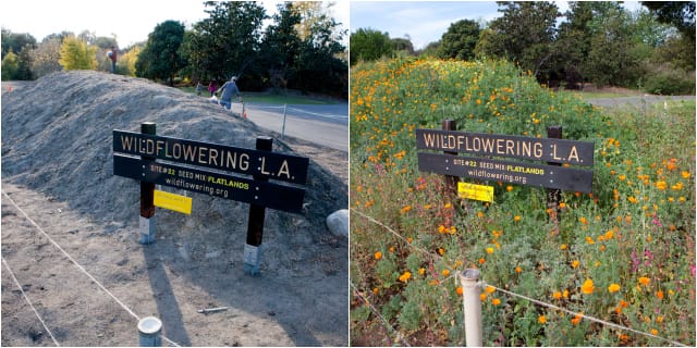 Before and after at Site #22