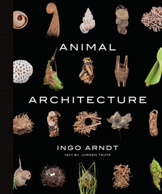 Cover of Animal Architecture